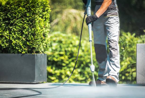 Professional Pressure Washing in Fruit Cove, FL