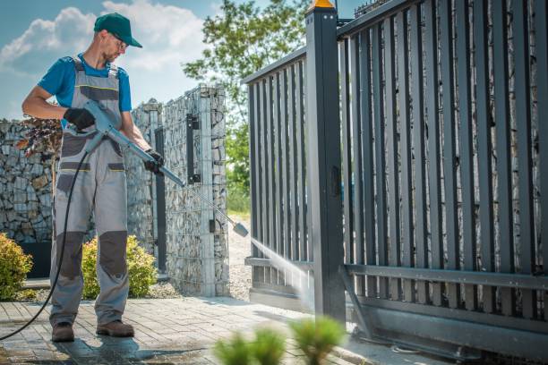 Animal Enclosure Cleaning in Fruit Cove, FL