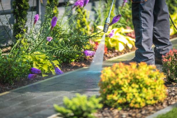 Best Driveway Pressure Washing  in Fruit Cove, FL