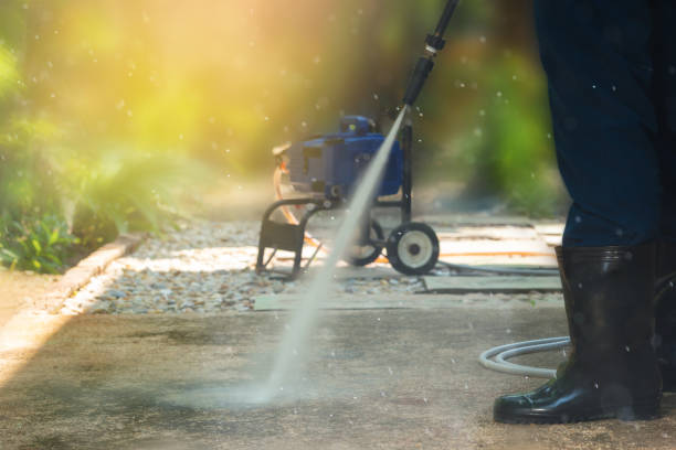 Best Sidewalk and Walkway Cleaning  in Fruit Cove, FL